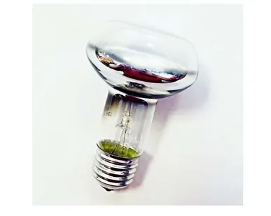 фото Лампа накаливания ЗК 40Вт R63 230-40 E27 (50) Favor 8105010