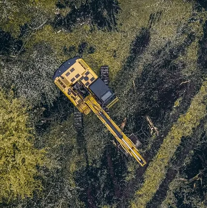 Фото №2 Корчевание пней, деревьев, лесополос, садов