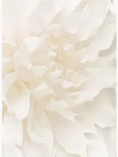 фото Панно АНТАЛИЯ 500х200мм 3