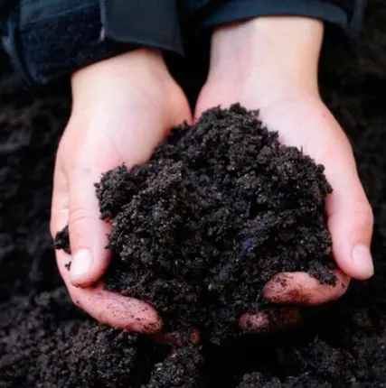 Фото №0 Продажа плодородного грунта