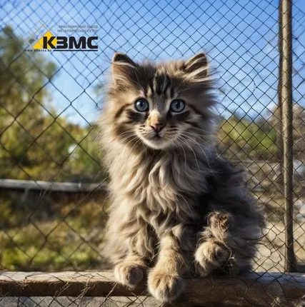 Фото №0 Сетка рабица Ø 1,6х(10х10) размер рулона 1х10 метров