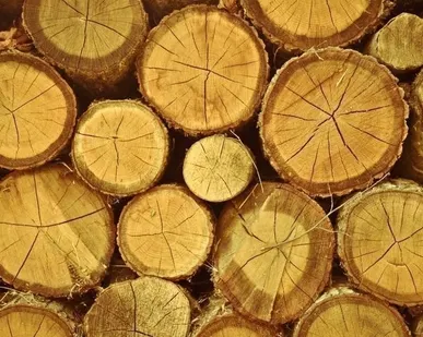 фото Бревно из липы (خشب الزيزفون) سجل)
в