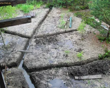фото Осушение участка