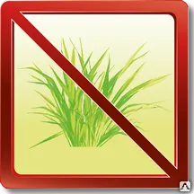 Фото №0 Уничтожение нежелательной сорной растительности химическим способом