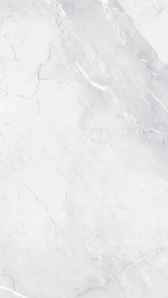 Фото №0 керамический гранит 549 milano 60*120