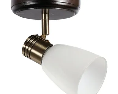 фото Спот Дубравия Анри 150-41-11