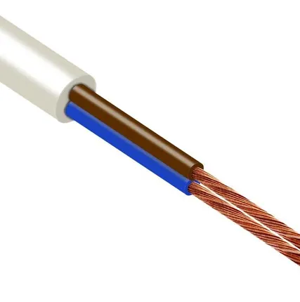 Фото №0 Провод ПВСнг(А)-LS 2х0.75 Б (уп.100м) ПромЭл 13431210