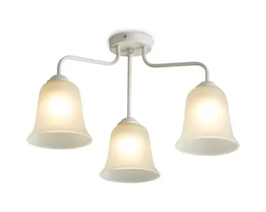 фото Светильник потолочный Freya FR5448CL-03W, белый