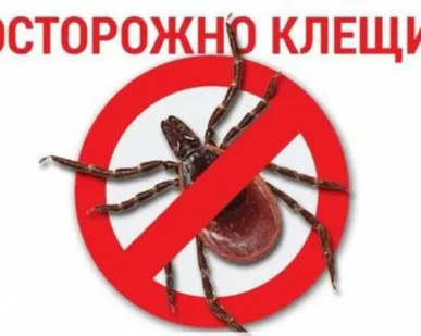 фото Акарицидная обработка территорий от клещей