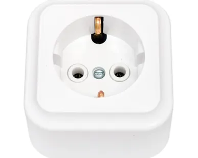 фото СВЕТОПРИБОР Розетка Пралеска 1 мест. з/к ОУ белая 16А 250В РА16-254 СВЕТОПРИБОР