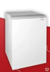 фото Напольный газовый котел Protherm (Протерм) Медведь 20 TLO