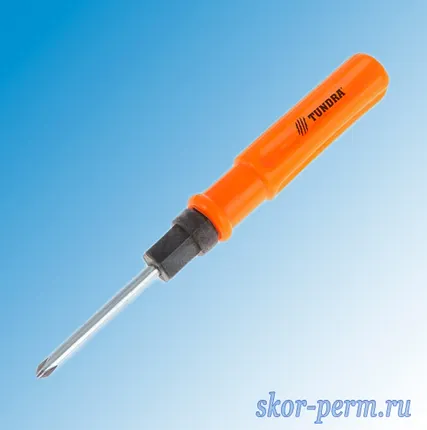 Фото №0 Отвертка комбинированная 2 в 1, 100 мм PH2/SL6