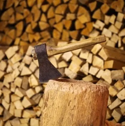 Фото №0 Спиливание деревьев