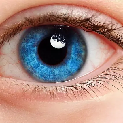 Фото №0 Консультация врача-офтальмолога и подбор контактных линз