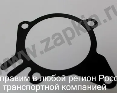 фото Прокладка помпы воды Kia Spectra 1.6 S6D 25124-2X000 251242X000 Korea.
