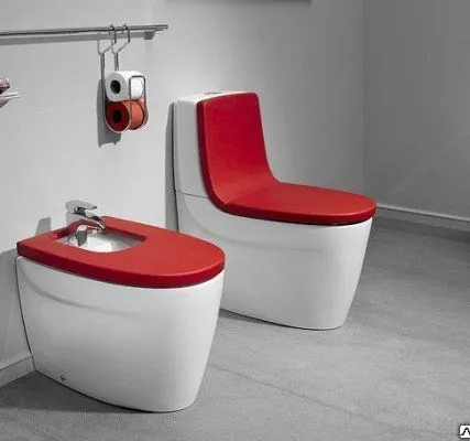 Фото №0 Унитазы Roca