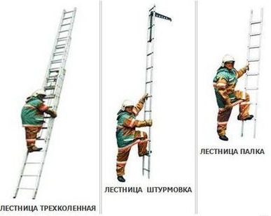 фото Лестница-палка металлическая