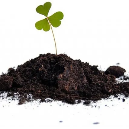 Фото №0 Грунт торфяной ОТРАДА 10л