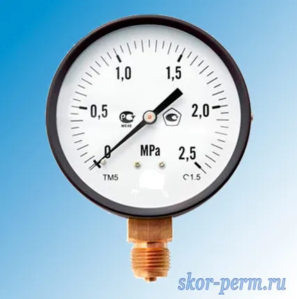 Фото №0 Манометр МП100м 2,5 МПа, G1/2