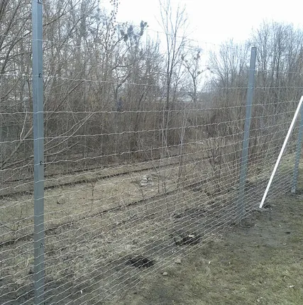 Фото №0 Сетка Шарнирная Н2,0м в рулоне 50м.п.