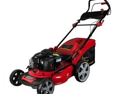 фото Газонокосилка бензиновая DDE WYZ18H2-13