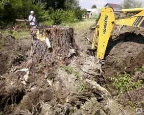 Фото №0 Корчевание пней.