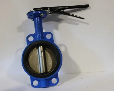 фото Затвор дисковый поворотный, Ру16 Ду 300