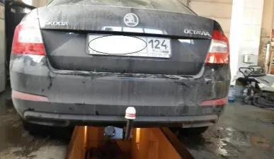 фото Skoda Octavia универсал и хэтчбек (лифтбек) (2WD) с 2013 года выпуска