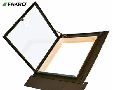 фото FAKRO окно-люк выхода (стеклопакет) WLI 86х87см