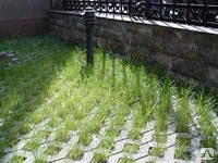 Фото №0 Газонная решетка бетонная