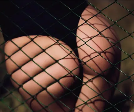 Фото №0 Сетка Рабица