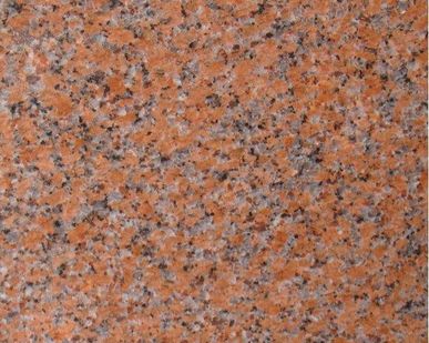 фото Плитка гранитная полированная 300*600*18 мм - G-562 Maple Red