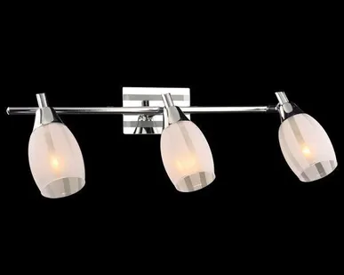 фото Спот 20129/3 хром