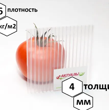 Фото №0 Сотовый поликарбонат АКТУАЛЬ!Био, 6000х2100х4 мм, прозрачный