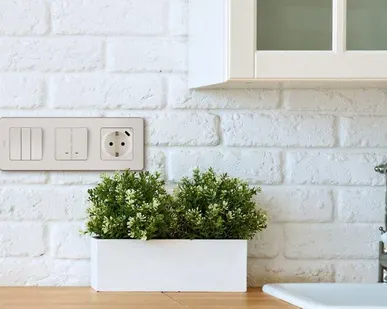 фото Механизм розетки 1-м СП Inspiria 16А IP20 250В 2P+E немецк. стандарт со встроен. зарядным устройством USB C 1.5А 5В сл. кость Leg 673771