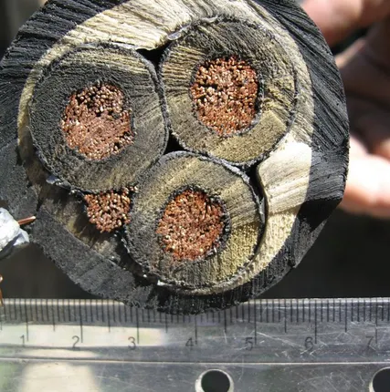 Фото №0 Кабель шахтный КГЭ, КГЭхл