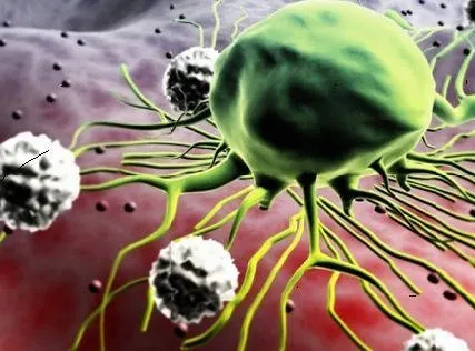 Фото №0 Антивирусная проверка