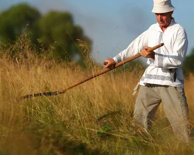 фото Покос травы, бурьяна, кустарников недорого Севастополь/Крым