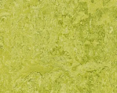 фото Мармолеум Forbo Marmoleum Dual 3224 500х500х2,5мм (плитка клеевая)