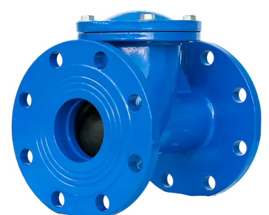 фото Клапан 100 обратный шаровой чугунный фланцевый