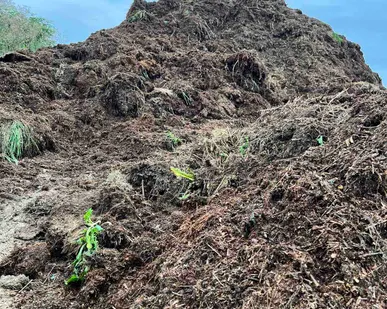 фото Удобрения