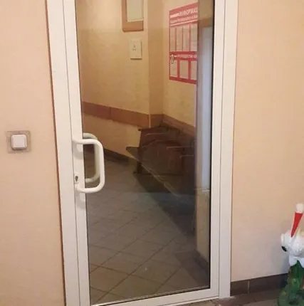 Фото №0 Алюминиевая дверь для общественных зданий