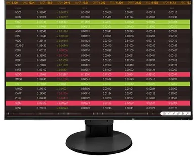 фото Монитор Eizo FlexScan EV2456