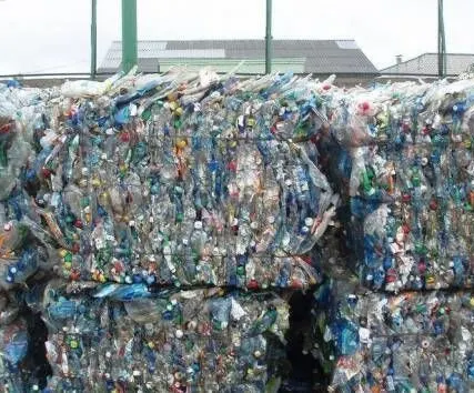 Фото №0 Сбор бутылок