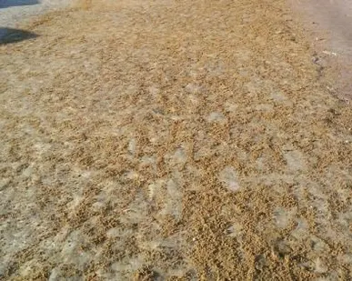 фото Пескосоль
