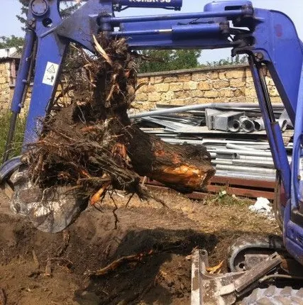 Фото №0 Корчевание пней