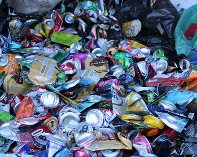 фото Приём банок алюминиевых в Ломоносовском округе