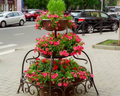 фото ЦВЕТНИК "КАСКАД"