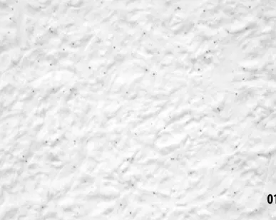 фото Шелковая штукатурка Silk Plaster (жидкие обои) Стандарт 011