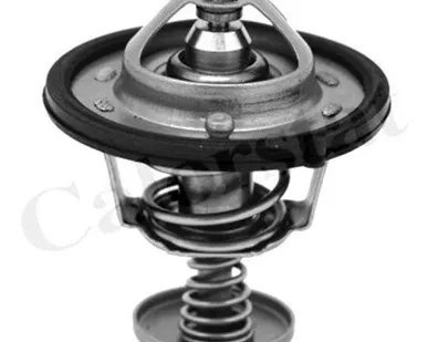 фото Vernet Термостат Sonata EF SIRIUS (82C) ор 2550038001 VERNET TH687082J